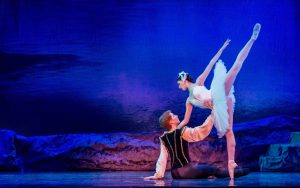 Swan Lake Performance, Prince and Odette